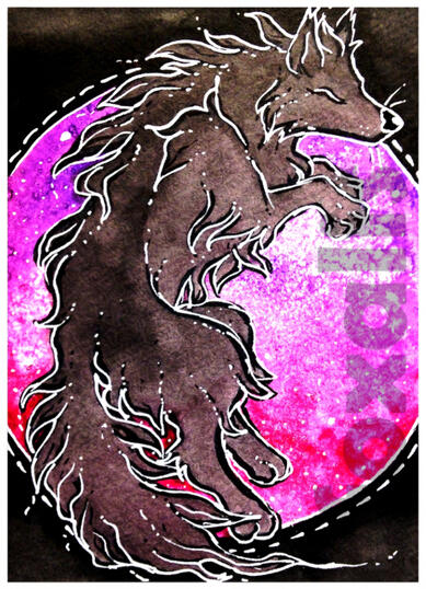 A watercolor and ink painting of a wolf. Behind it is a bright burst of color in a circle and then framed in black.