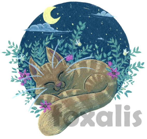 A gouache painting of a cat sleeping. Around it are flowers, leaves, and a few glowing fairies. Behind that is a starry night with a moon and clouds floating by.