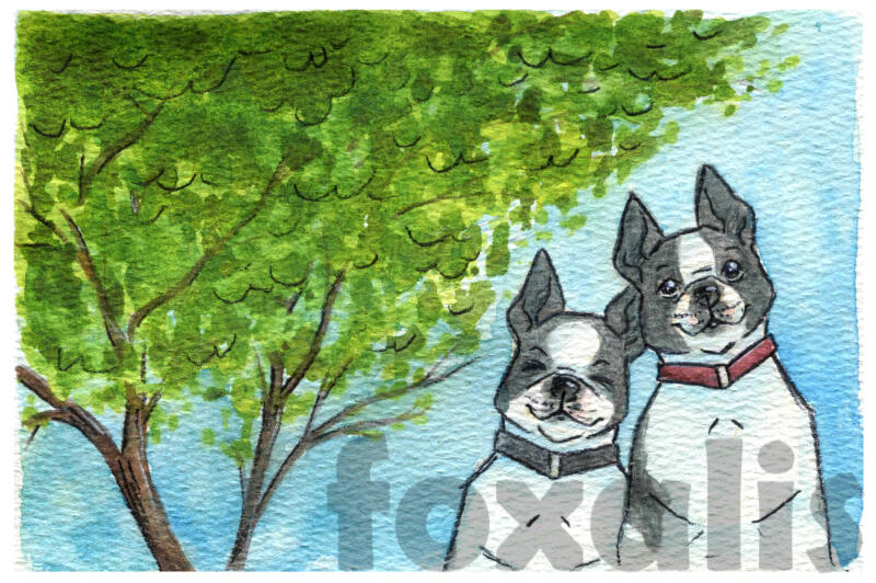 A watercolor painting of a tree with two Boston terriers sitting underneath.