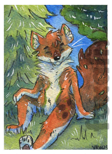 A watercolor painting of a dhole sitting in grass in front of some trees.