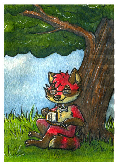 A watercolor painting of a red raccoon sitting under a tree reading a book.