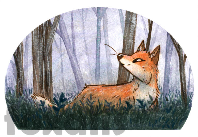 A watercolor painting of a fox standing in tall grass in front of a forest full of trees that fade off into a lavender color.