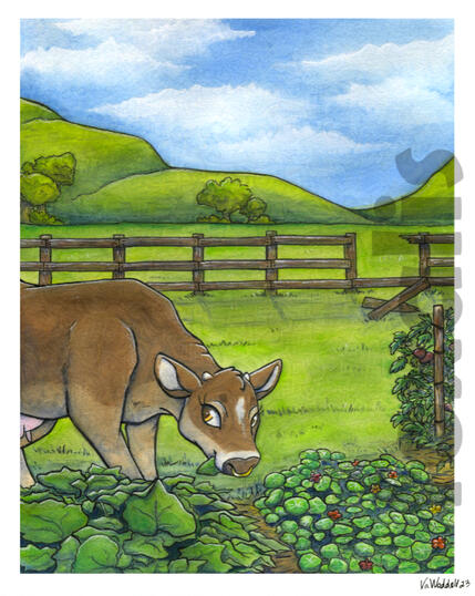 A watercolor painting of a cow snacking on plants in a garden. In the background is a broken fence and some grassy hills. The sky is blue and full of whispy clouds.
