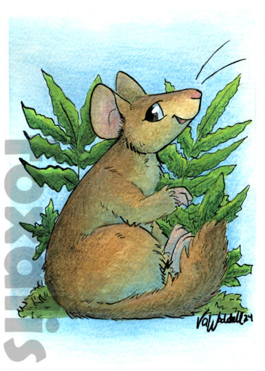 A watercolor painting of a smiling brush-tailed rodent sitting amongst some ferns.