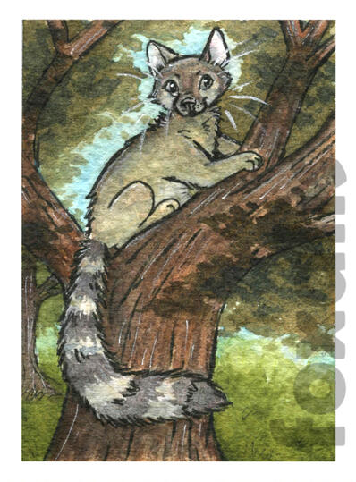 A painting of a ringtail sitting in a bushy tree.