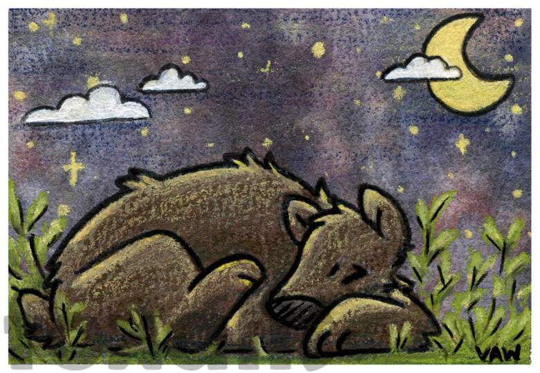 A watercolor and wax pastel painting of a bear sleeping in some plants. The sky is splotched with colors and dotted with stars.