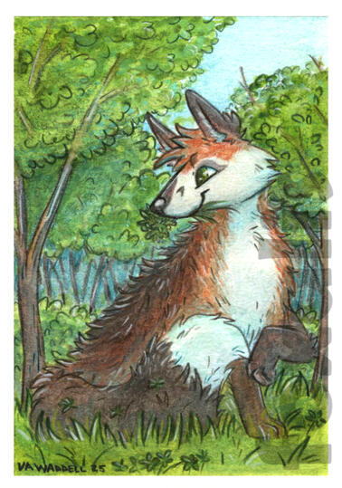A watercolor and colored pencil painting of a very bushy fox holding a clump of wood sorrel in its mouth. Around them is a deep and lush forest.